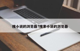 搜小说的浏览器?搜索小说的浏览器
